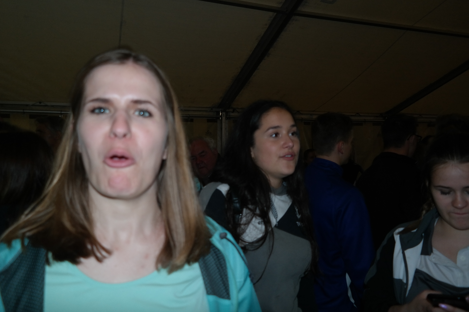 Bild 1 (331)